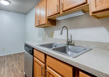 Pull-down, sprayer kitchen faucet